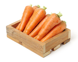 fresh carrot on white background 