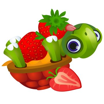 Funny turtle licks ripe strawberries isolated on white background. Vector cartoon close-up illustration.