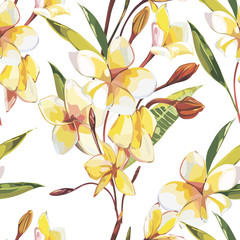 Elegance seamless pattern in vintage style with Plumeria flowers. Tropical illustrations.