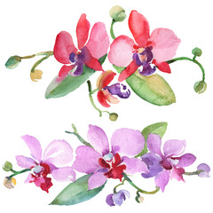 Naklejka premium Orchid bouquets floral botanical flowers. Watercolor background illustration set. Isolated orchid illustration element.