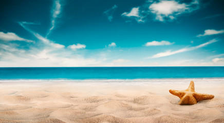 Fototapeta na wymiar summer beach with starfish blur sea on background - Image