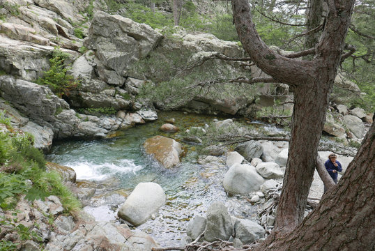 corse
