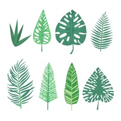 Set of watercolor tropical leaf collection, Summer plant soft color, Green leaves element for decoration, Botany art with brush, Isolated white background.