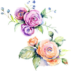 Fototapeta na wymiar Pink rose bouquet loral botanical flowers. Watercolor background set. Isolated bouquets illustration element.
