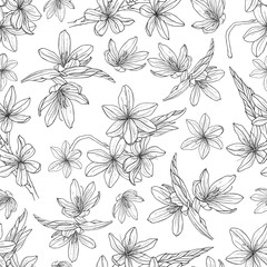 seamless pattern with hand drawn illustrations of Schizostylis. .botanical graphic drawing of kaffir lily flower. .Use for cards, textiles, backgrounds, invitations, paper, scrapbooking.