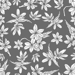seamless pattern with hand drawn illustrations of Schizostylis. .botanical graphic drawing of kaffir lily flower. .Use for cards, textiles, backgrounds, invitations, paper, scrapbooking.