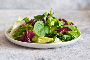 Fresh mix of salads: lettuce, arugula, spinach, mesclun, mache on a dark background.