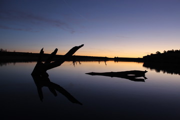 Peaceful lake sunrise with tree reflections
