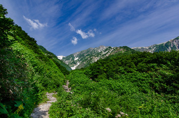 Fototapeta premium 白馬岳