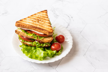 Sandwich with cheese, tomato, cucumber, sausage and salad on a light background. . Horizontal orientation