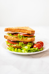 Sandwich with cheese, tomato, cucumber, sausage and salad on a light background. Vertical orientation