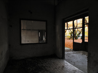 Beautiful autumn view from abandoned building interior. Vibrant landscape nature colors, contrasts with pale dark building interior. Small bridge in sycamore plane tree forest.