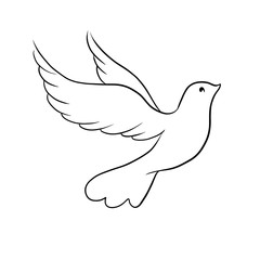 Beautiful line sketch dove bird vector illustration