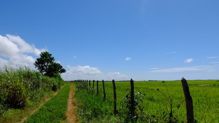 Palat&eacute;ia uma vila dentro da Barra de S&atilde;o Miguel