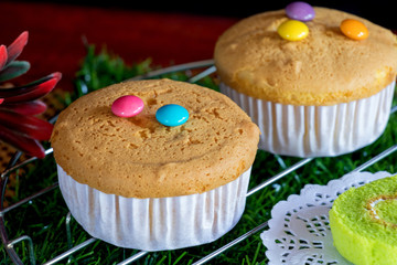 2 Cupcake with Candy on Top and Cake Roll