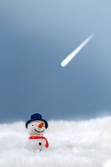 Snowman in the snow