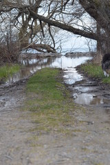 Spring Flooded Road at Lake Edge