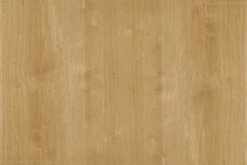 brown oak tree wood wallpaper structure texture background