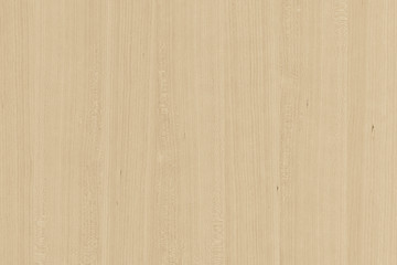 yellow color tree timber wood surface texture background wallpaper