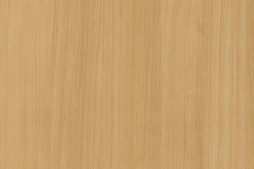 yellow color tree timber wood surface texture background wallpaper