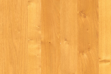 Obraz premium yellow color tree timber wood surface texture background wallpaper