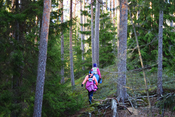 Two women participants of orienteering or rogaining sport contest wearing sportswear and running backpack walking through pine forest in cold spring day. Healthy lifestyle and leisure activities conce