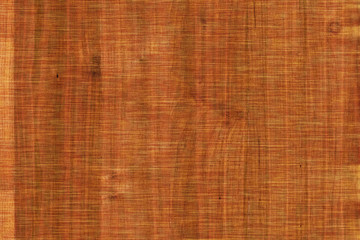 acacia timber tree wooden surface wallpaper structure texture background