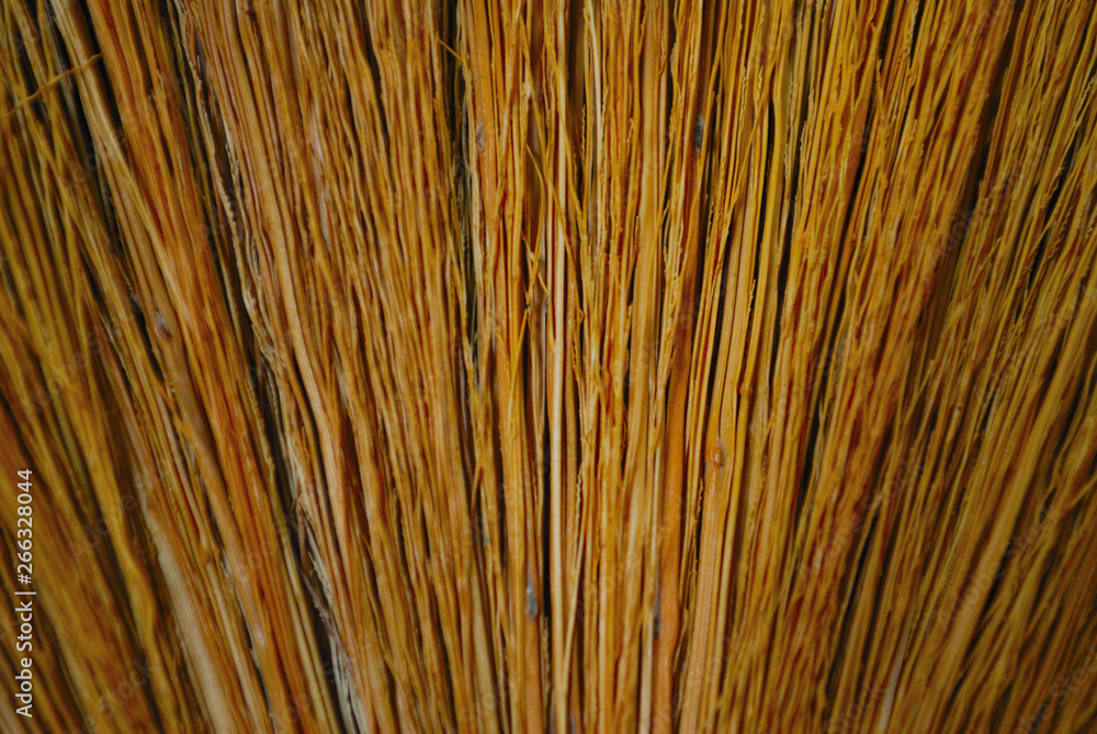 Wall mural the pattern of broom hairs