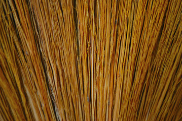 The pattern of broom hairs
