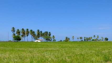 Palatéia uma vila dentro da Barra de São Miguel