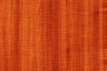 acacia timber tree wooden surface wallpaper structure texture background