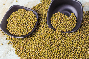 Shoot mung beans up close