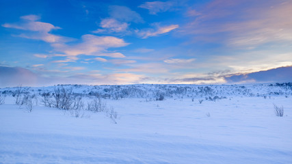 Snow covered landscape of pristine nature North of the Arctic Circle under a beautiful sky