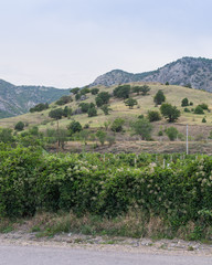Fototapeta na wymiar Mountains and vineyards on a summer sunny day