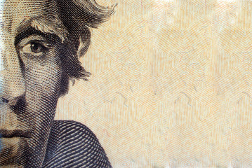 Portrait of Andrew Jackson on 20 US dollars.