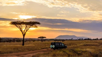 Foto op Plexiglas Zonsondergang in savanne van Afrika met acaciabomen, Safari in Serengeti van Tanzania © Simon Dannhauer