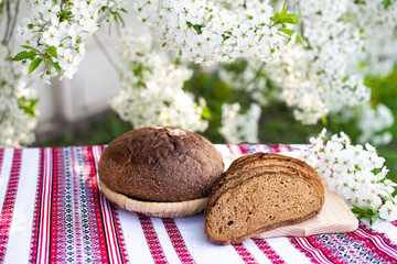 Rye bread on a wooden board against a background of with blooming cherry branches. fresh bread on a...