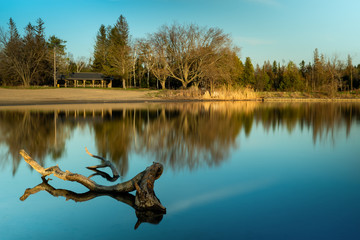 Tree line view during golden hour on a lake in Alliston Ontario Canada - Earl Rowe Provincial Park
