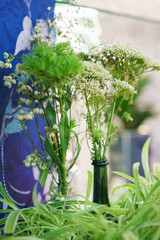 Fresh flowers in a glass vase on the shelf. Green plants, furniture parts for employees.