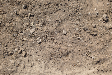 Texture of the earth with stones