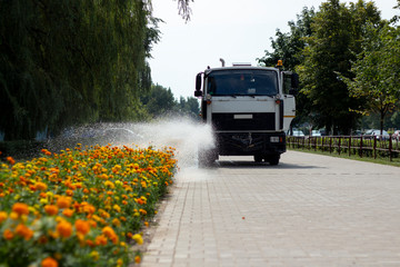Fototapeta na wymiar truck watering flowers