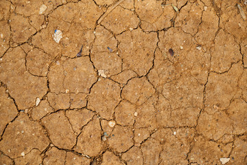 Dried soil fragment and texture