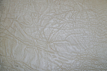 Old white skin texture with folds on surface