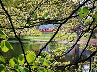 House in the forest