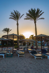 Umbrellas and loungers on a beach of the Red Sea