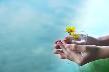 woman hand with shot glass with yellow flower with blue nature background