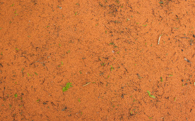 Antistress rubber substrate base on chidren's playground floor.