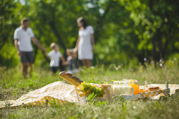 Unrecognizable family having picnic in the park.