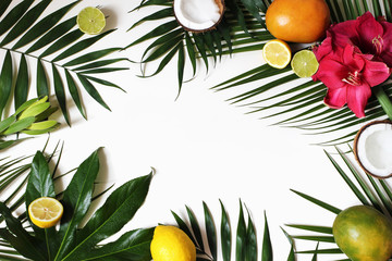 Tropical floral and exotic fruit frame, web banner. Coconut, lemons, mango and amaryllis flowers on...