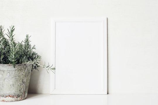 White vertical blank wooden frame mockup with rosemary herb in old metal flower pot on the table. Rustic summer poster product design. Gardening comcept. Styled stock feminine photography. Home decor.